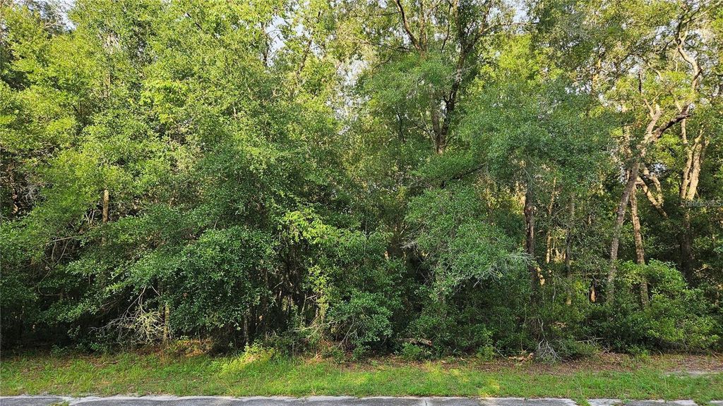 Photo of 10147 N Dyal Drive, Citrus Springs, FL 34434 (MLS # OM704741)