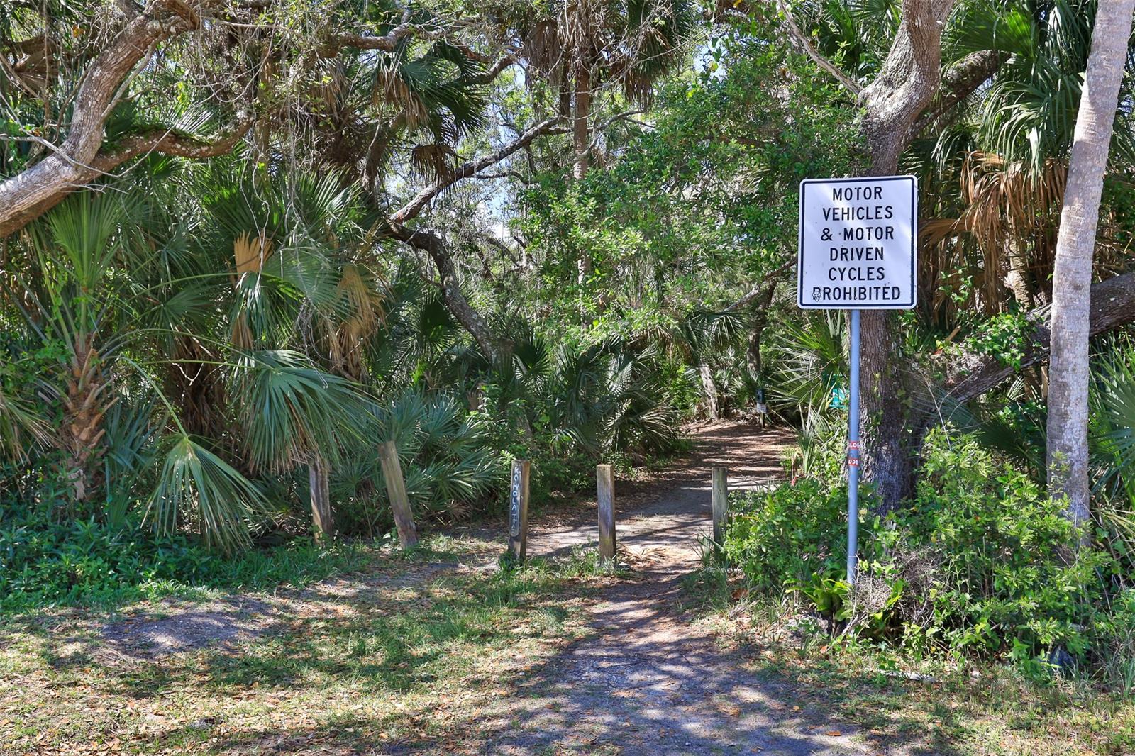 New Smyrna Beach - Residential