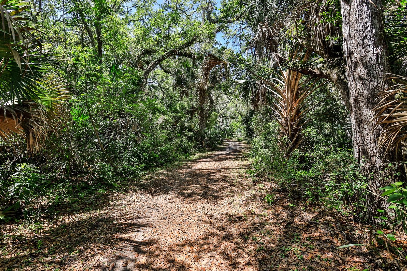 New Smyrna Beach - Residential