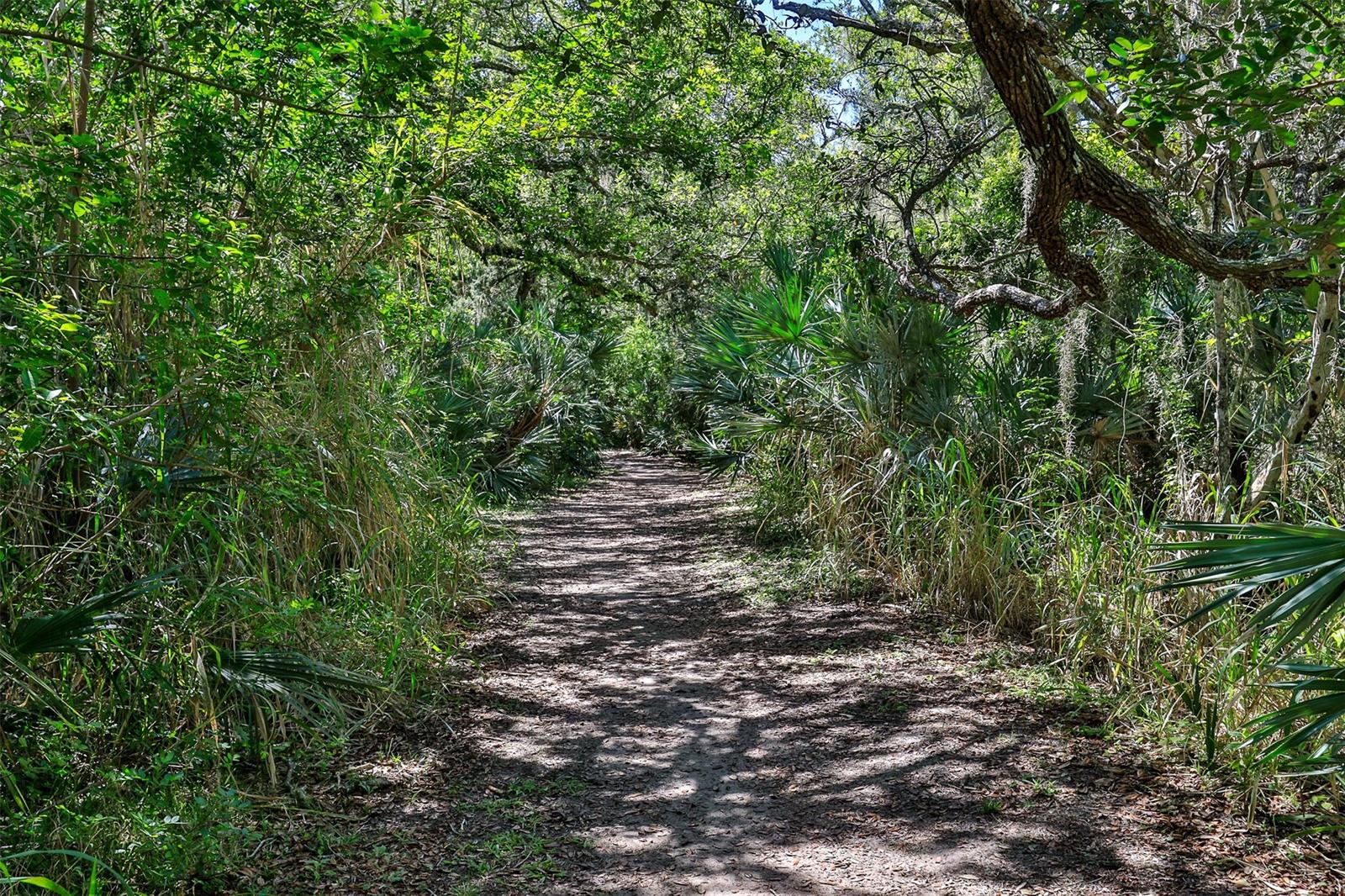 New Smyrna Beach - Residential