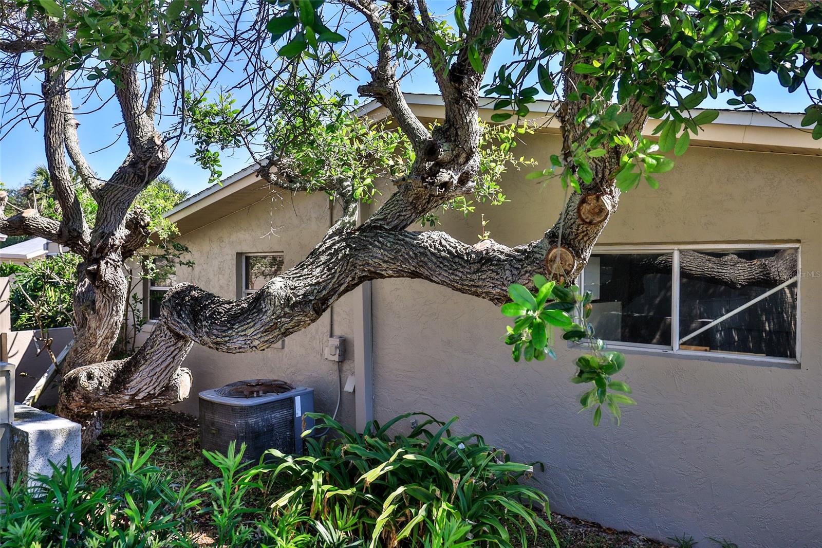 New Smyrna Beach - Residential