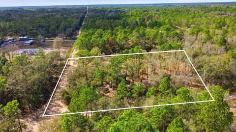 Tiny photo for 15484 SW 70th Avenue, Dunnellon, FL 34432 (MLS # V4947651)