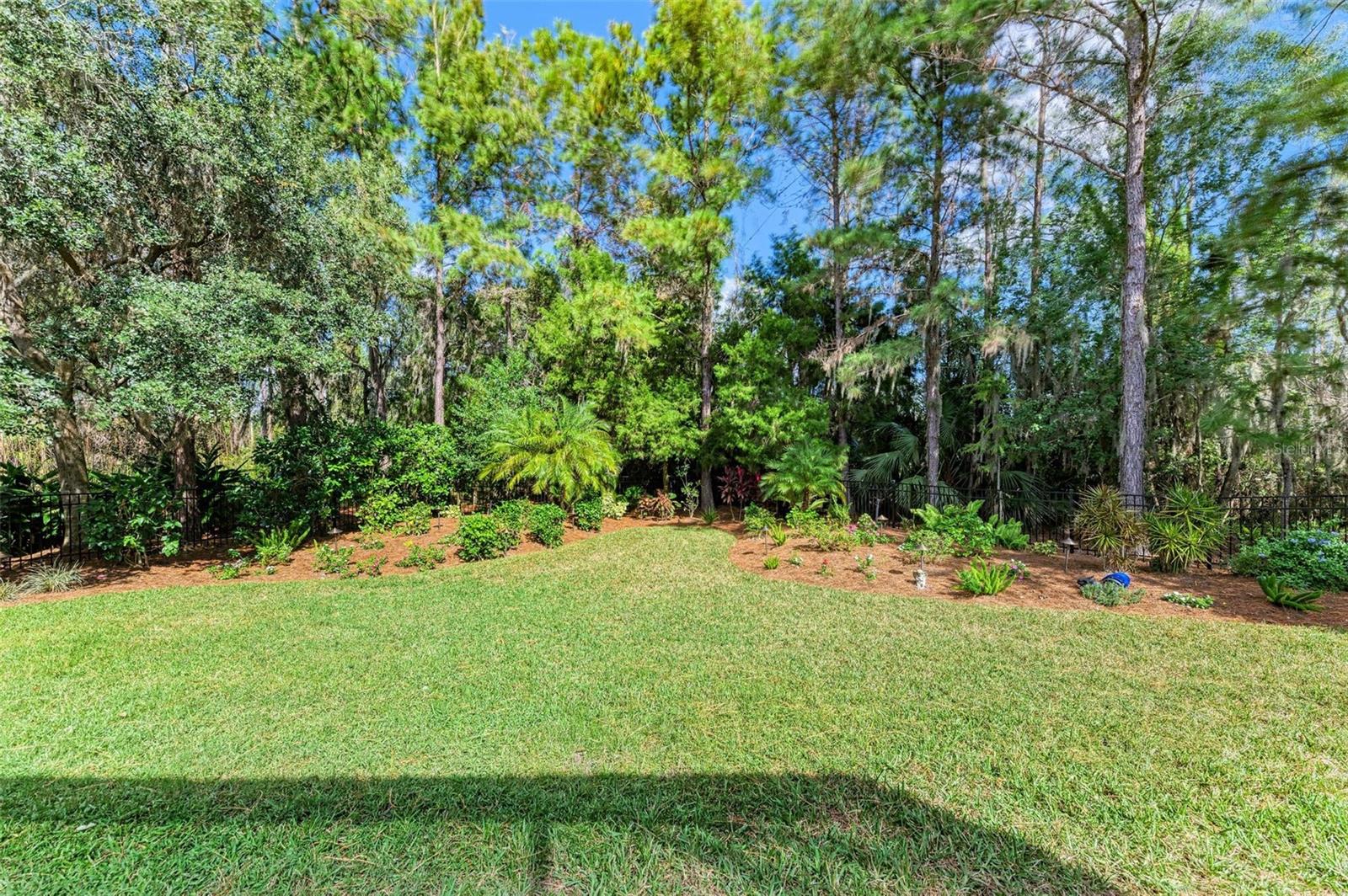 ROSEDALE 10 - Residential