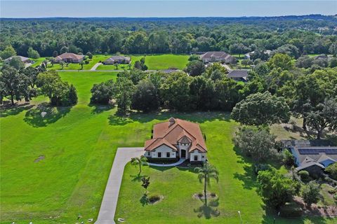 A home in HERNANDO