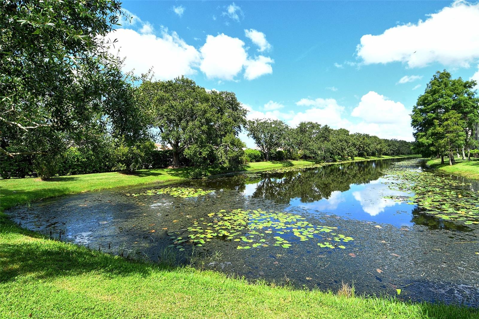 WELLINGTON CHASE - Residential Lease