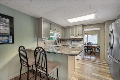 Tiny photo for 1136 Rue De Dore, Tavares, FL 32778 (MLS # G5114447)