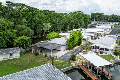 Tiny photo for 1136 Rue De Dore, Tavares, FL 32778 (MLS # G5114447)
