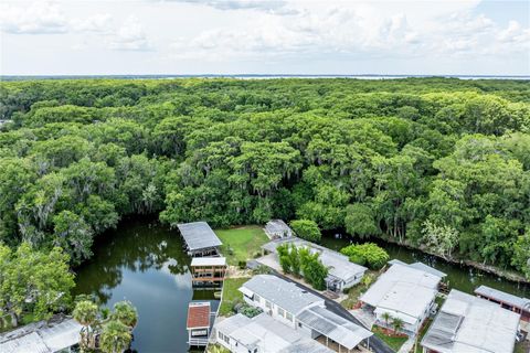 Tiny photo for 1136 Rue De Dore, Tavares, FL 32778 (MLS # G5114447)