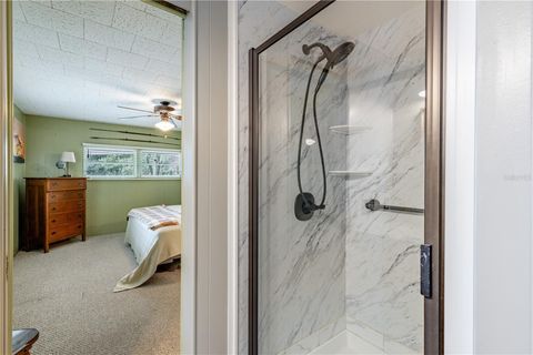 Tiny photo for 1136 Rue De Dore, Tavares, FL 32778 (MLS # G5114447)