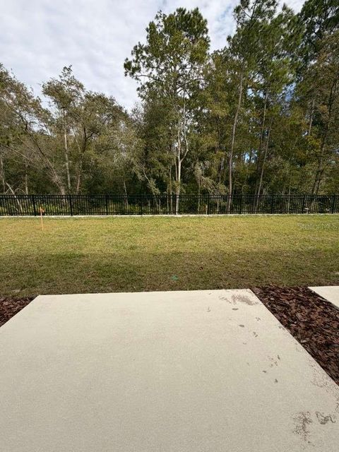 Tiny photo for 2794 Raindrop Run Street, Clermont, FL 34714 (MLS # R4910471)