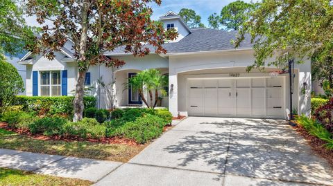 14627 TUDOR CHASE DRIVE TAMPA FL 33626