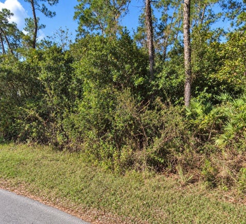 Photo of Coon Road, Astor, FL 32102 (MLS # OM733248)