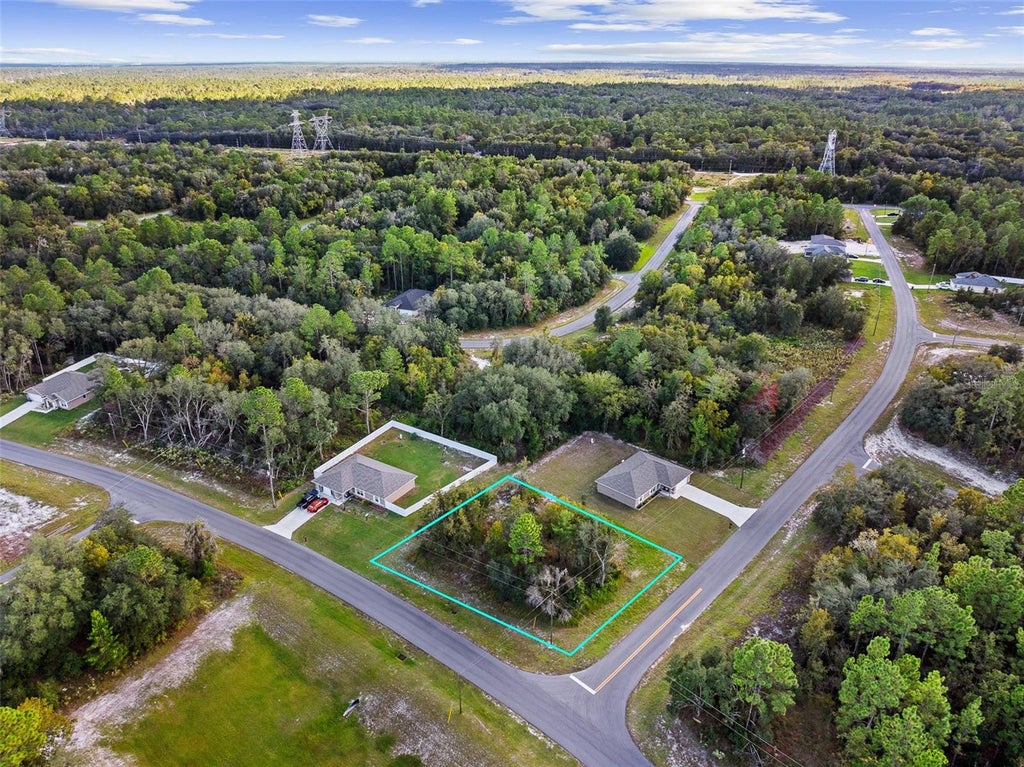Photo of 0 SW 146th Lane Road, Ocala, FL 34473 (MLS # A4710786)
