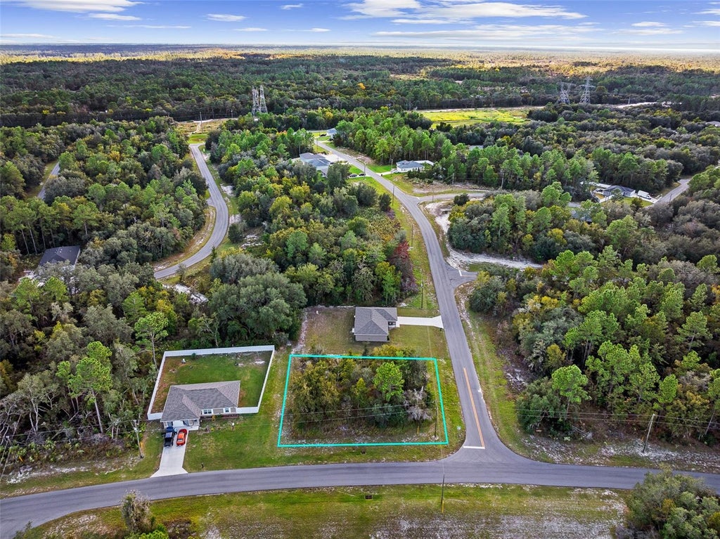 Photo of 0 SW 146th Lane Road, Ocala, FL 34473 (MLS # A4710786)