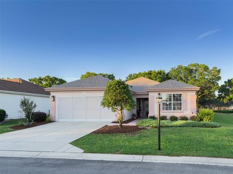 Photo of 9593 SE 124th Loop, Summerfield, FL 34491 (MLS # V4948563)