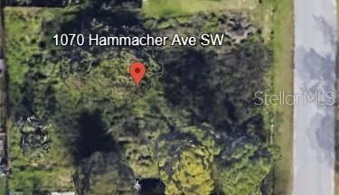 Excellent vacant lot opportunity in the fast-growing Port Malabar area of Palm Bay—ideal for investors or builders looking to add new construction to their portfolio. This site offers paved road access, nearby utilities, and a strong rental market supported by new development throughout the neighborhood. No HOA, giving you flexibility to design and build on your terms. Conveniently located near shopping, dining, and major roadways, with quick access to I-95, the Space Coast, and local employers. Perfect location for a build-to-rent or long-term hold investment.