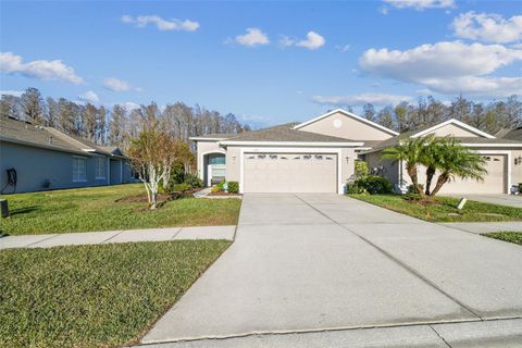 A home in LAND O LAKES