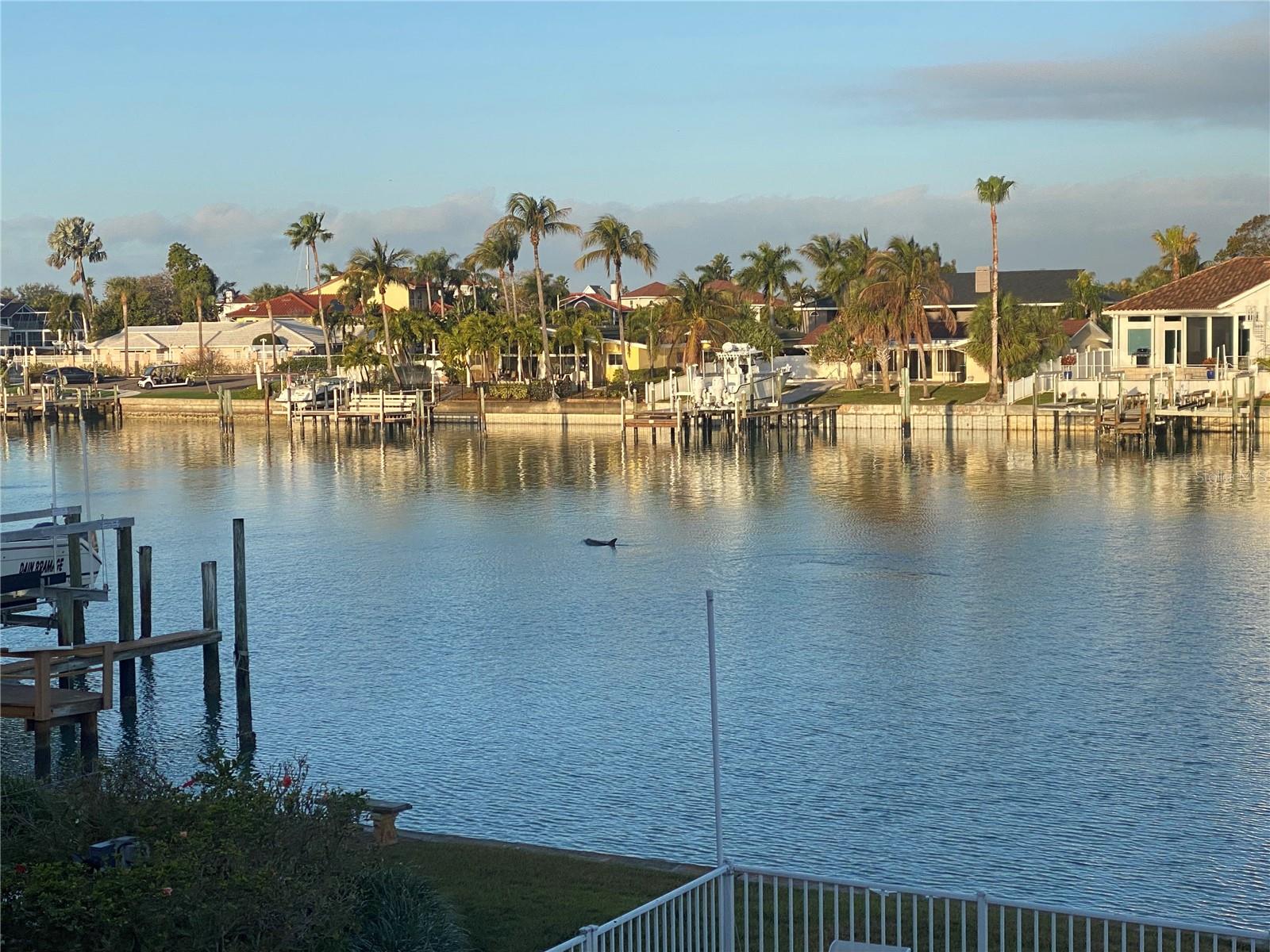 YACHT HAVEN CONDO - Residential