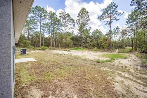 A home in DUNNELLON