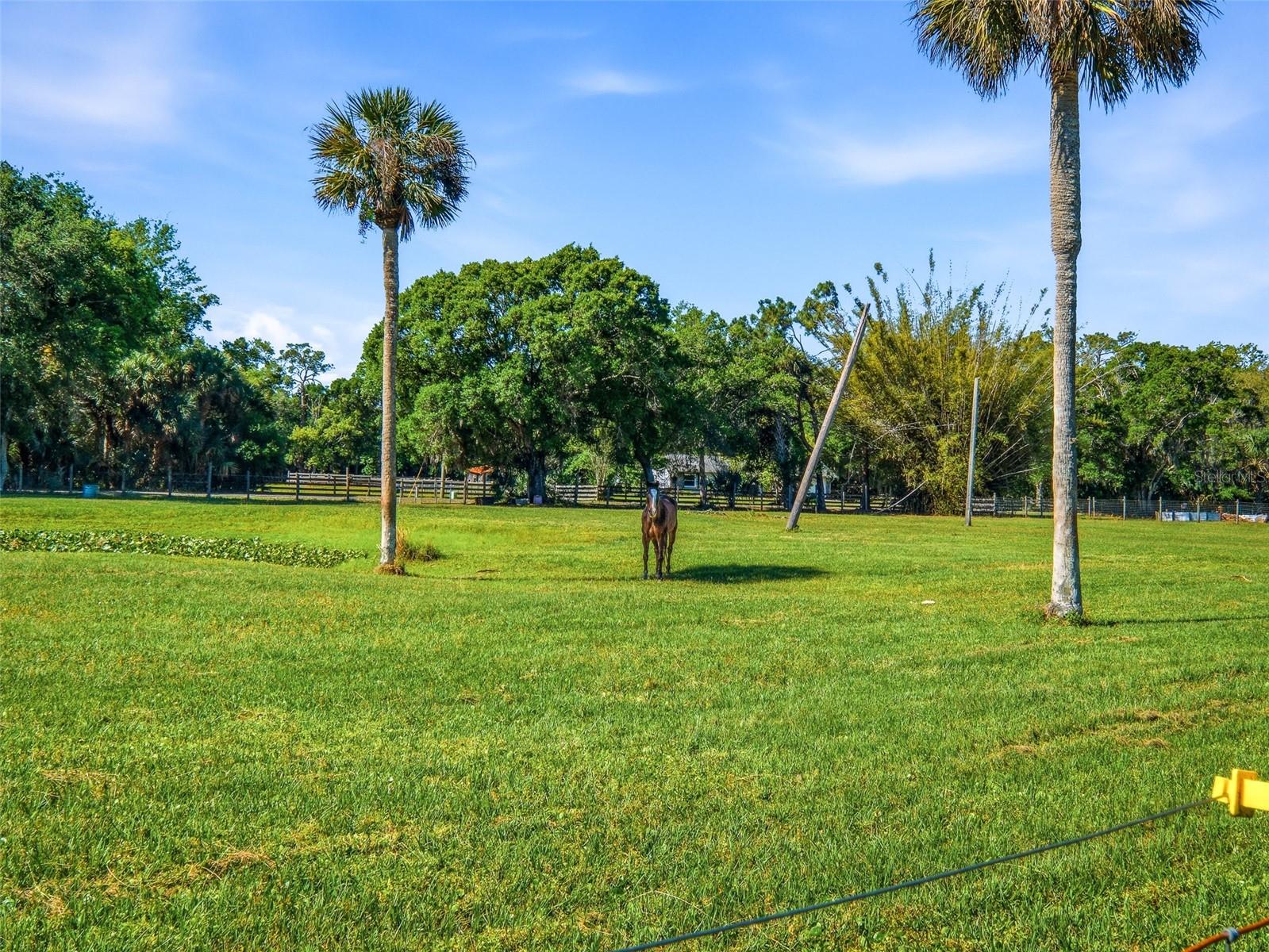 VARNADORE S - Residential