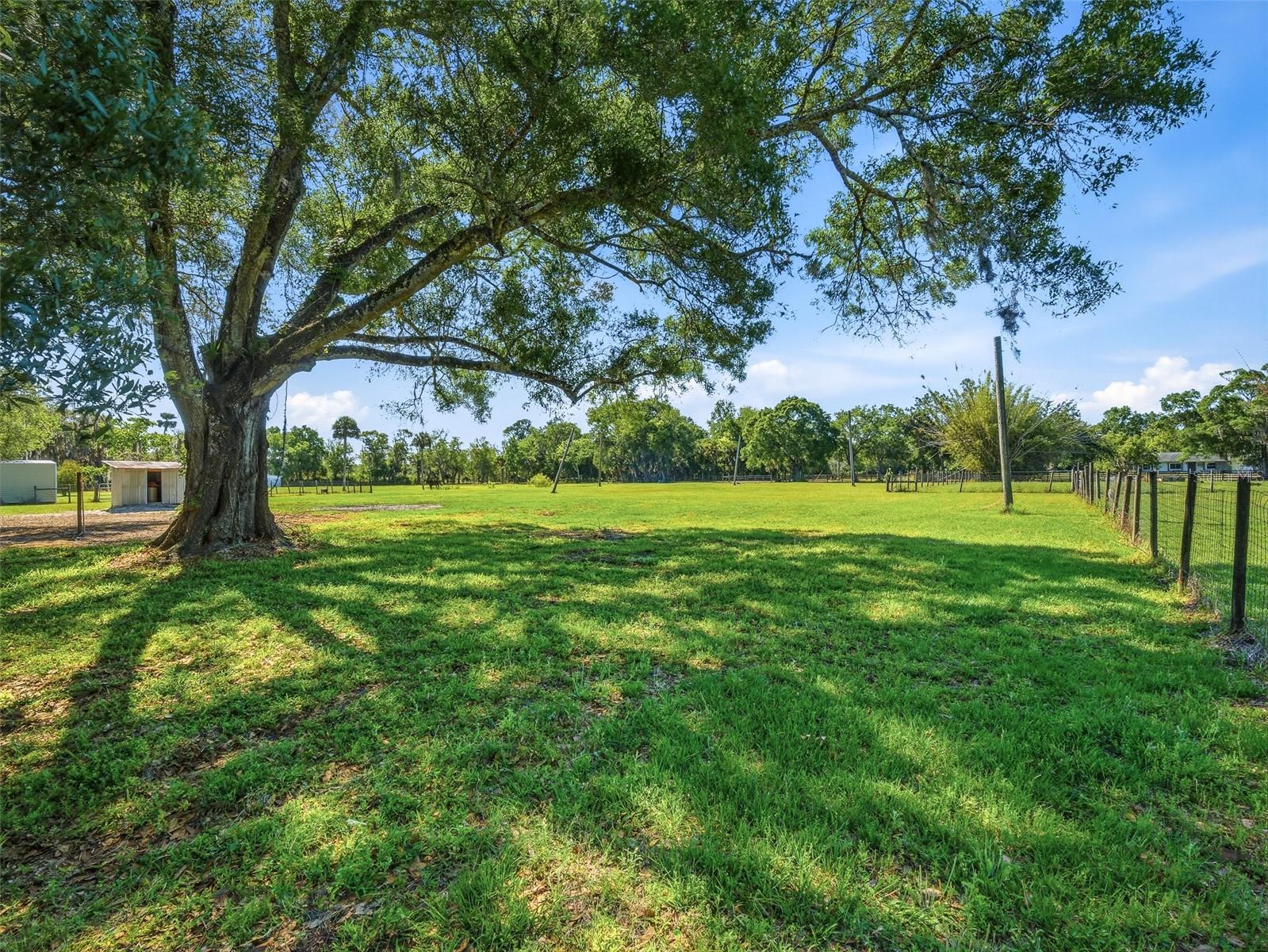 VARNADORE S - Residential