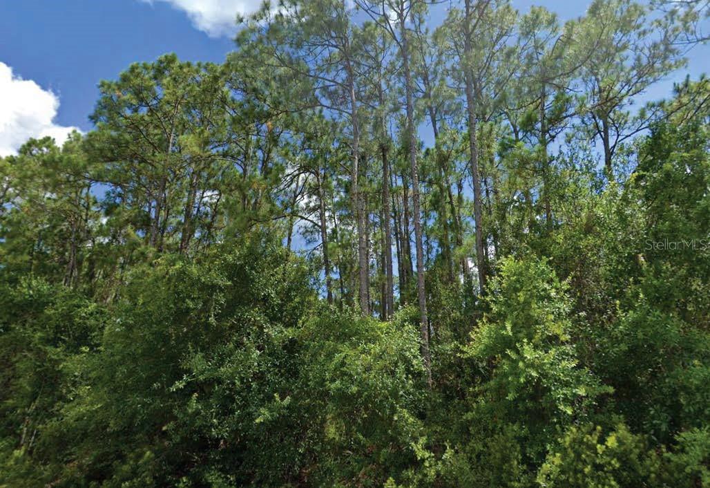 Beautiful vacant lot conveniently located to I-75, shopping and dining. A great spot to build your Florida dream home in a growing community. All information is deemed reliable but should be independently verified.