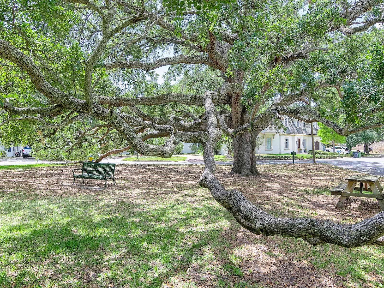 BEL MAR REV UNIT 9 REVI - Residential