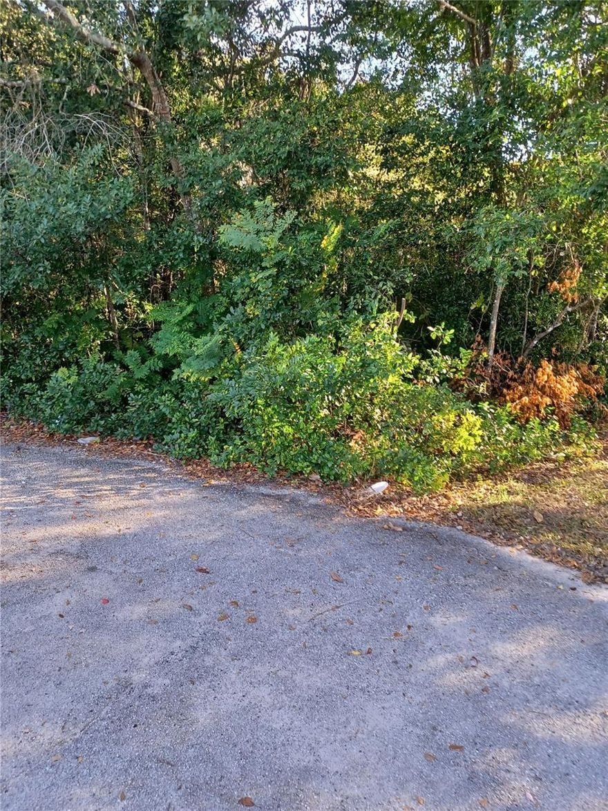 Oversized lot on cul-de-sac, easy walk to elementary school. Quick access to I-4. Lot perfectly suited to build a large home. Easy commute to shopping and post office.