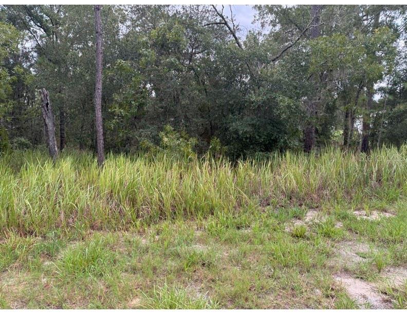 Build your dream home on this spacious 80 x 125 ft vacant lot in the desirable 34472 area. Priced at just $33,000, this property offers the perfect opportunity for a custom build or investment. Conveniently located near schools, shopping, dining, and major roadways, you’ll enjoy both peace and accessibility. With plenty of room for a home, yard, and outdoor living, this lot is ready for your vision. Don’t miss this chance to secure affordable land in a growing area of Marion County.