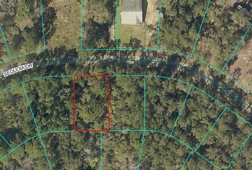 Beautiful lot in very nice neighborhood in Ocklawaha. Mostly wooded area with paved streets. Very quiet. The homes around are really nice. No HOA! Ocklawaha River isn"t far. It takes less than 15 minutes to get to shopping and resturants in Lady Lake or you can go the other way towards Ocala and get to Walmart, Publics, Resturants and more. Quiet, Gorgeous and Convenient! Just a great place to build your dream home.