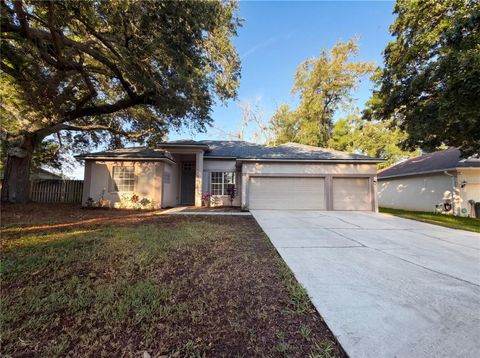 Photo of 203 Taylor Bay Lane, Brandon, FL 33510 (MLS # O6410875)