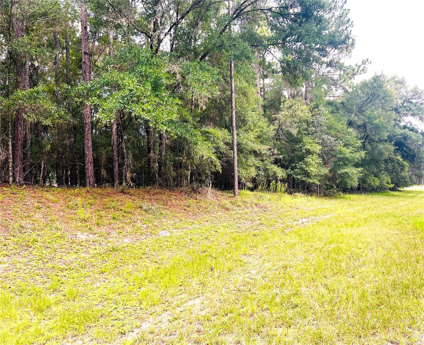 Gorgeous 1.07 Acres New Construction Build Site Located in The Forest of The Village of Rainbow Springs in Historic Dunnellon, Florida! The Forest is a Well-Established Community Within Rainbow Springs and is Joyfully and Peacefully known as "The Natural Place to Call Home"!! This Magnificent 1.07 Acre Property is Beautifully Located at Corner of SW 185th Avenue RD & SW 73rd loop and is Just a Few Minutes’ Drive to Dunnellon's Town Square Built Around the World-Famous Rainbow and Withlacoochee Rivers with Cross Florida Nature Trails, Fabulous Local Dining and Shopping, Banking, Antiquing+ More. Within a 30-Minute Circle, you can Enjoy Major Shopping, Dining, Gulf Beaches, Salt Water Fishing. Theatre + More in Crystal River, Homosassa. Inverness, Ocala, Inglis, Williston, Gainesville and Just a Beautiful Short Ride Out to The New World Equestrian Center Located Between Dunnellon and Ocala. Don't Miss Out On this Special 1.07 Acre Property. Build Your New Florida Dream Home -Or_ Purchase and Hold. Enjoy the Exciting Amenities of The Village of Rainbow Springs Including the Residents Private Park & Beach Located Right on the Historic Rainbow River, The Rainbow Springs Community Center with Numerous Indoor/Outdoor Activities Plus, A Fabulous Natural Life Style Surrounded by Crystal Clear Springs!!