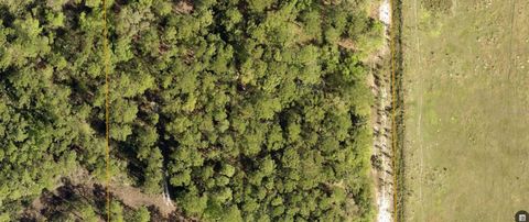 LAKE HARNEY ROAD OSTEEN FL 32764