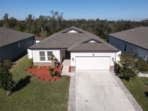 A home in DELTONA