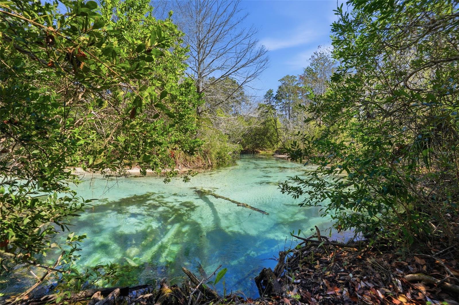 WATERS OF WEEKI WACHEE - Residential