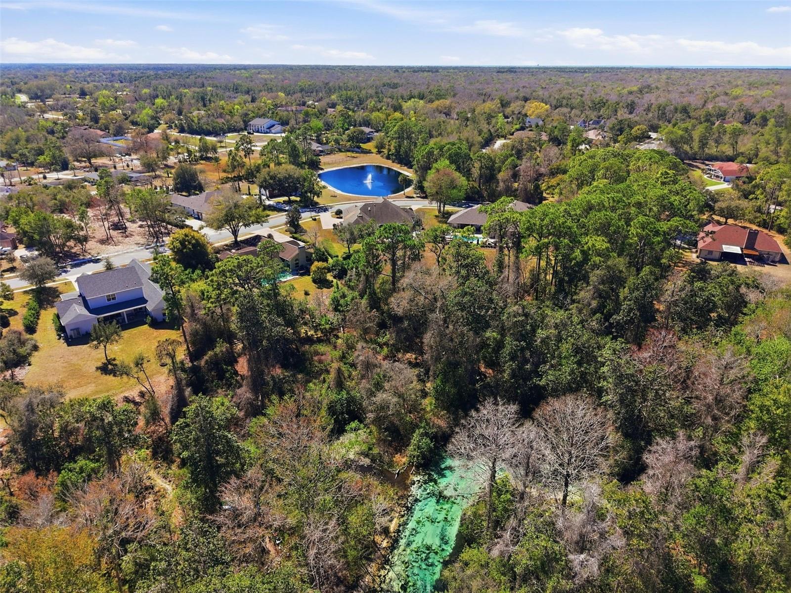 WATERS OF WEEKI WACHEE - Residential