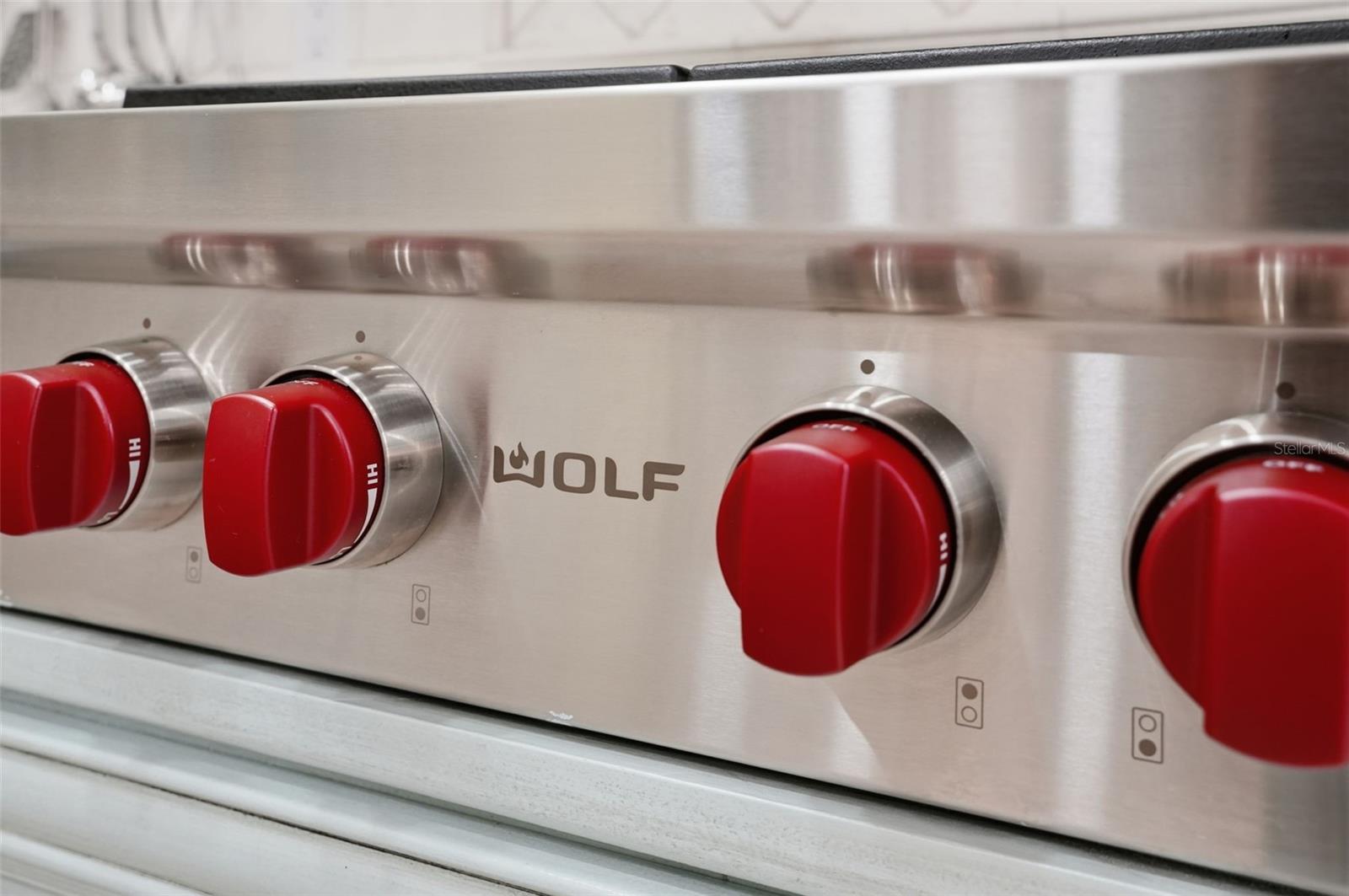 WATERS OF WEEKI WACHEE - Residential