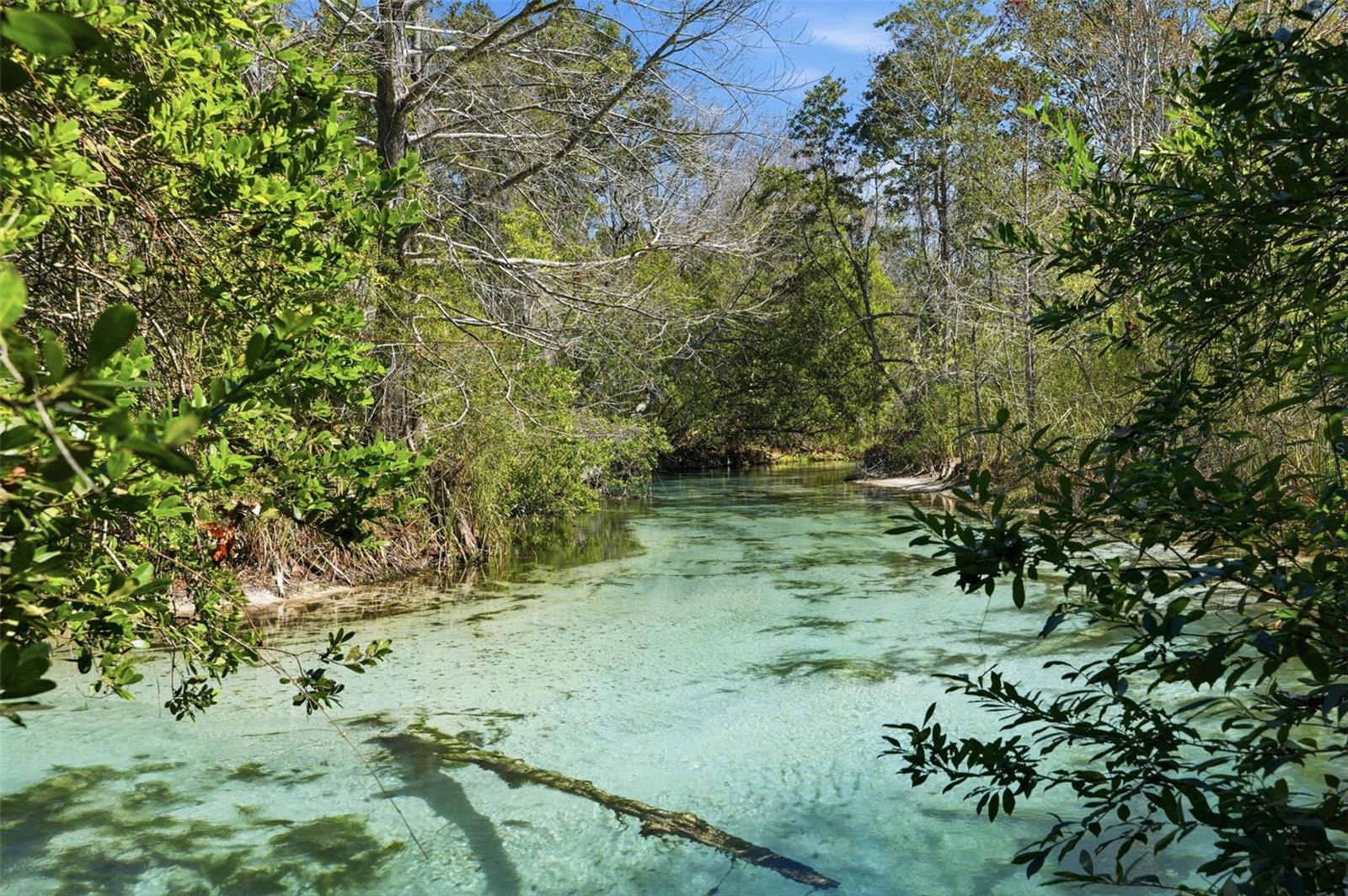 WATERS OF WEEKI WACHEE - Residential