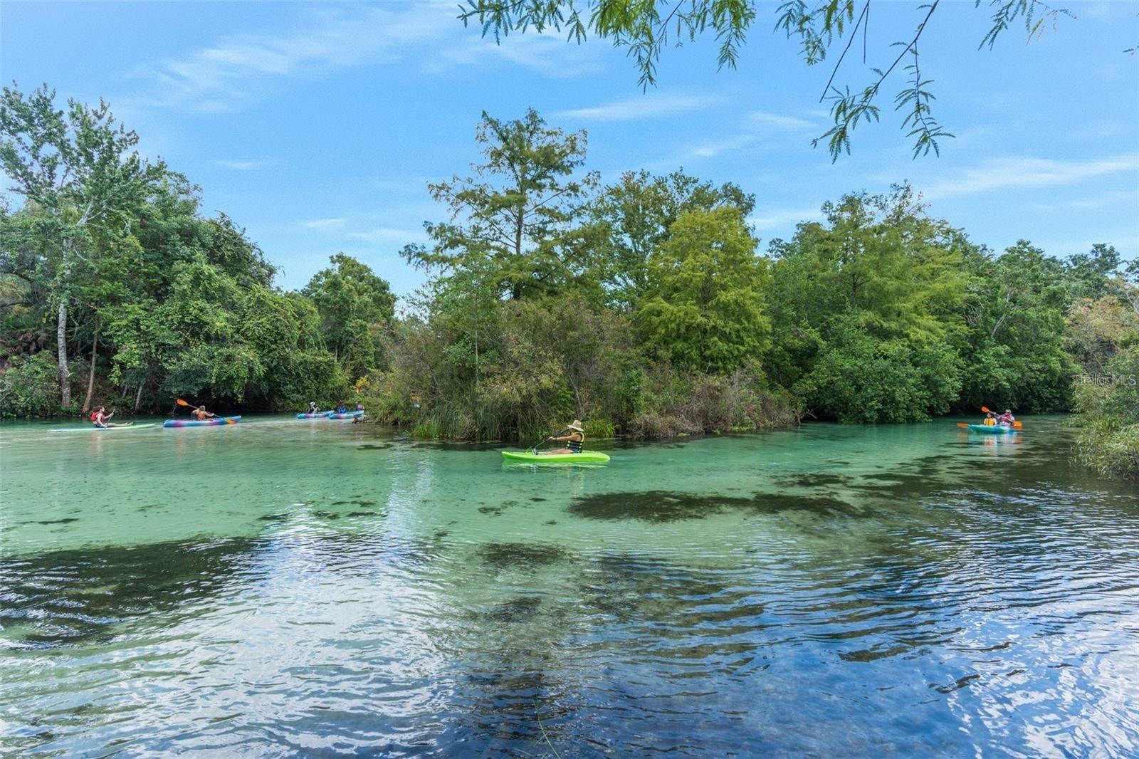 WATERS OF WEEKI WACHEE - Residential