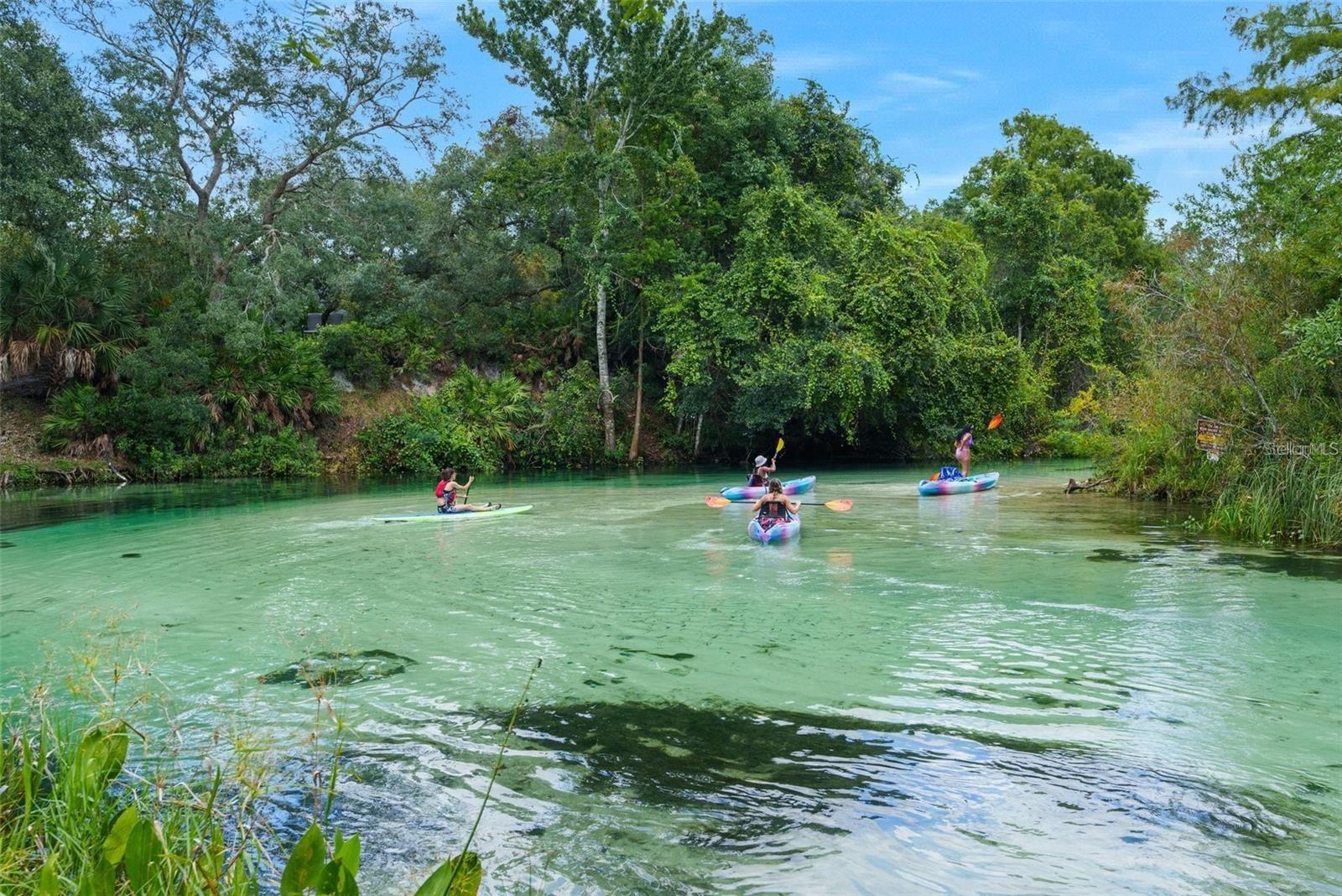 WATERS OF WEEKI WACHEE - Residential