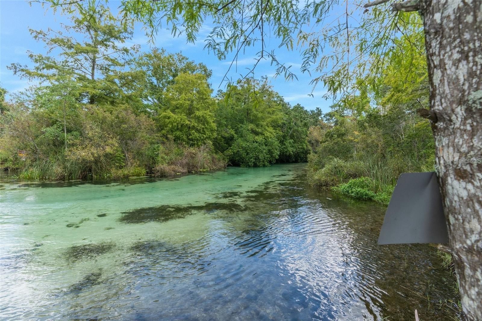 WATERS OF WEEKI WACHEE - Residential