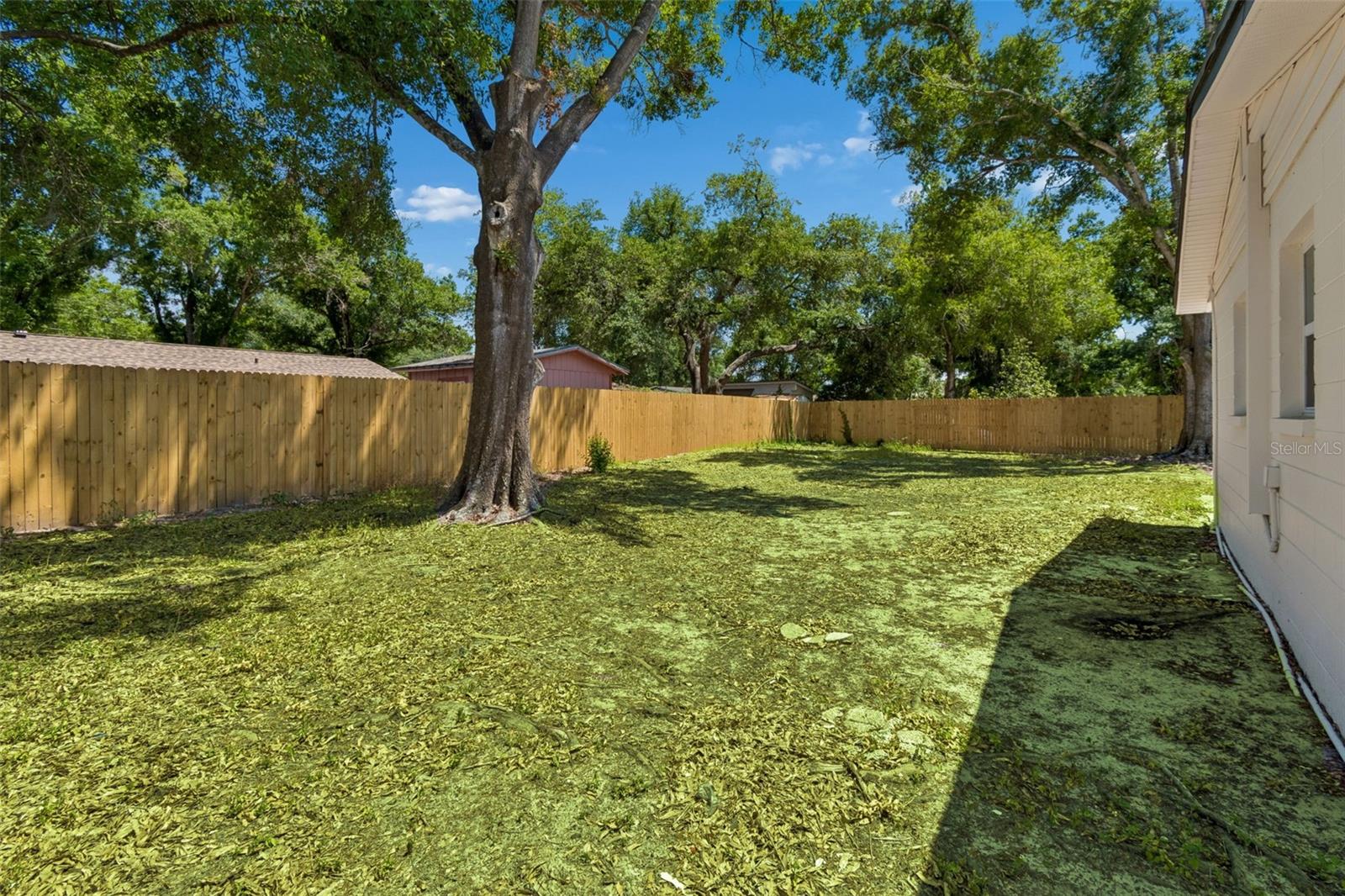 KINGS FOREST - Residential