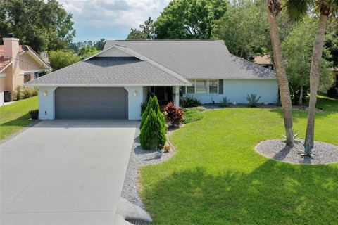 A home in PALM COAST