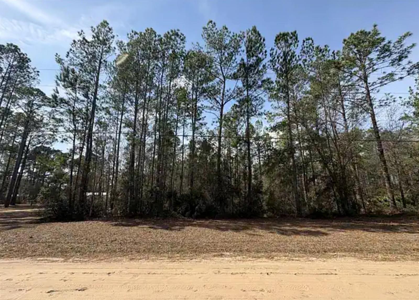 THREE RIVERS ESTATES - Land