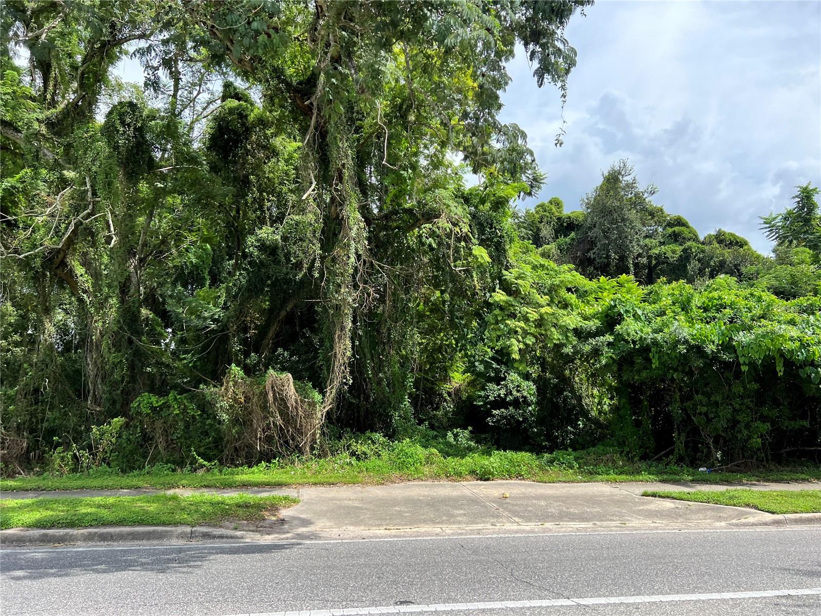 Vacant lot for sale! This .14 acre lot is available for your build, no HOA. Additional lots available at 387, 379, and 371. Just minutes away from 408 East/West Expressway and close to Downtown Orlando.