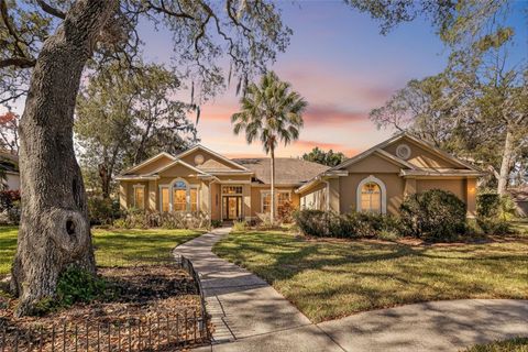 502 LITTLE EAGLE COURT VALRICO FL 33594