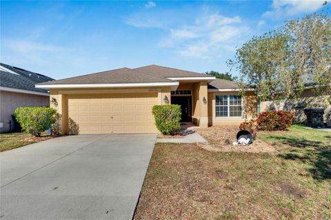 A home in WIMAUMA