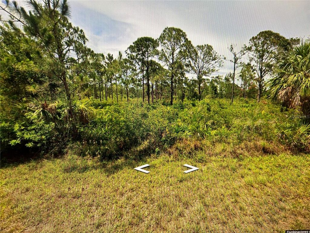 Photo of 13550 Suribachi Avenue, Port Charlotte, FL 33953 (MLS # TB8475561)