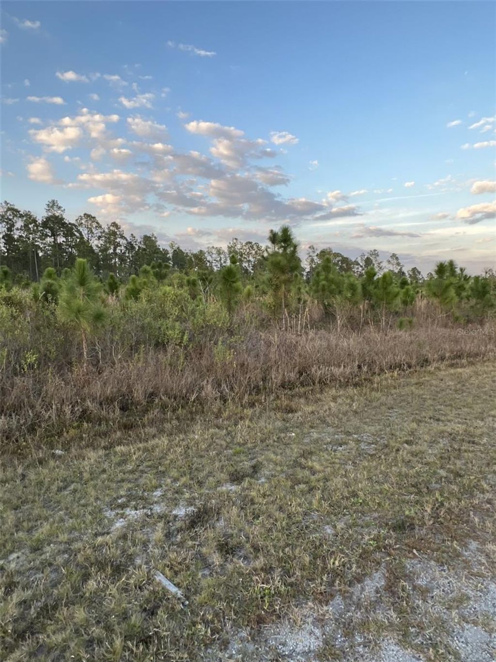 Photo of 1002 Gardenia Drive, Lake Wales, FL 33898 (MLS # P4936560)