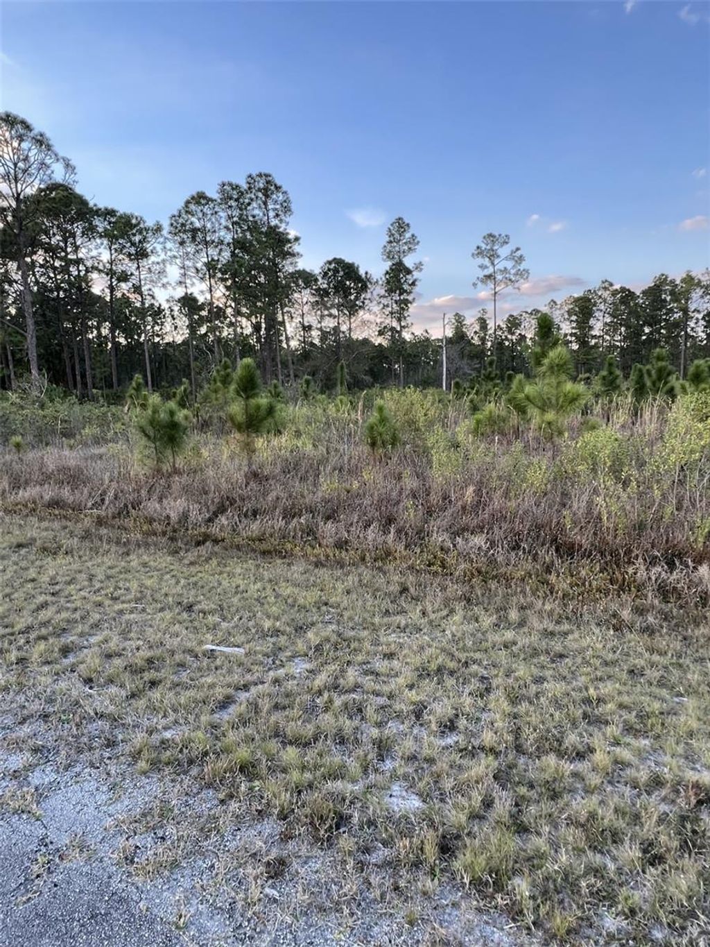 Photo of 1002 Gardenia Drive, Lake Wales, FL 33898 (MLS # P4936560)